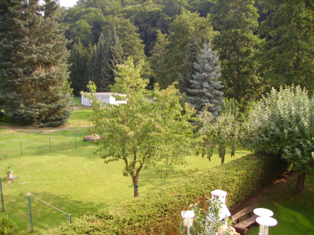 Hotel Zur Erholung Brochthausen Habitación foto